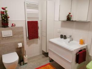 a bathroom with a white sink and a toilet at Zirlerhof in Weerberg