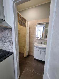 a bathroom with a sink and a mirror at Hostel Mare in Roja