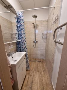 uma casa de banho com um chuveiro, um lavatório e um WC. em Hostel Mare em Roja