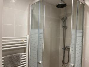 La salle de bains est pourvue d'une douche avec une porte en verre. dans l'établissement Appart Cocoon / Rue Porte Dijeaux, à Bordeaux
