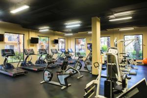 Fitness centrum a/nebo fitness zařízení v ubytování Villa del Palmar Beach Resort & Spa
