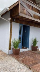 a porch with two potted plants and a blue door at cabana canto da maré in Bombinhas