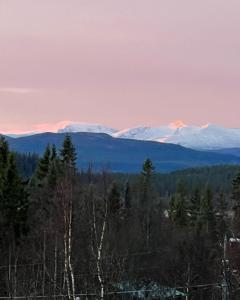 uitzicht op de met sneeuw bedekte bergen in de verte bij Granlunda Fjällgård in Duved