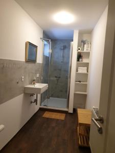 a bathroom with a shower and a sink at Altstadt Residenz in Fulda