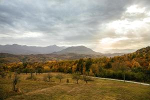 a field with trees and mountains in the background at Villa Oreh Kravenik - Вила Орех Кръвеник in Kravenik