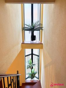 Balkón nebo terasa v ubytování La Casona