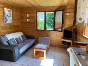 a living room with a couch and a tv at Chalet Robin (6 personnes) in La Lechere