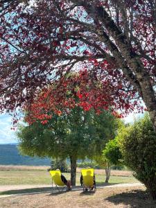 deux chaises jaunes assises sous un arbre avec des fleurs rouges dans l'établissement Hôtel Les Vieilles Tours Rocamadour, à Rocamadour