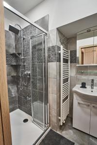 a bathroom with a shower and a sink at Apartmán u Martina in Jablonec nad Nisou