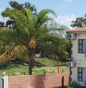 a palm tree in front of a building at Pits lodge in Polokwane