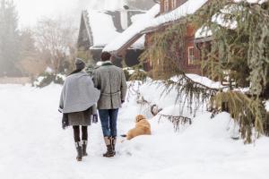 Deux personnes marchant dans la neige avec un chien dans l'établissement Das Dorf in der Stadt, à Schladming