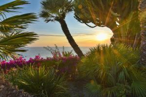 a sunset over the ocean with palm trees and flowers at Hotel Capizzo in Ischia