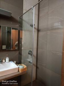 bagno con doccia, lavandino e specchio di Pristine home near New Friends colony a Nuova Delhi