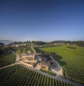 uma vista aérea de uma vinha com um edifício no meio em Monverde - Wine Experience Hotel - by Unlock Hotels em Amarante