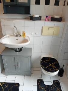 a bathroom with a sink and a toilet at Stellas Monteurwohnungen in Werdau