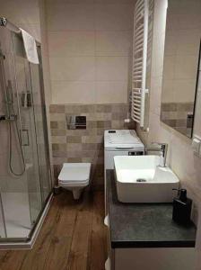 a bathroom with a sink and a toilet and a shower at Revisit Szklarska B5 in Szklarska Poręba