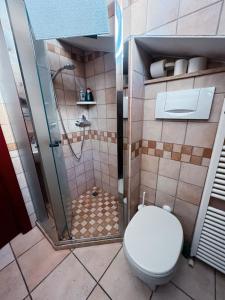 a bathroom with a shower with a toilet at Above The Sky - Flying Apartment in San Marino