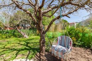 a swinging chair sitting next to a tree at Monte Frio Alpacas in Nariz