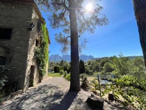 un árbol frente a un edificio con el sol brillando en Cal Poldo en Marganell