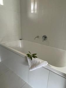 een badkamer met een wit bad met een plant erop bij 25 Wentworth Street shepparton in Shepparton