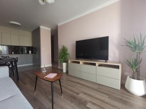 a living room with a flat screen tv on a wall at Apartamenty Tychy Kopernika in Tychy