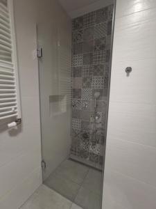 a shower with a glass door in a bathroom at Apartamenty Tychy Kopernika in Tychy