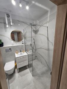 a bathroom with a shower and a toilet and a sink at Apartament Panorama Miasta in Gdynia +18 photos