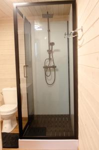 a glass shower in a bathroom with a toilet at LE GLAWAN in Barvaux