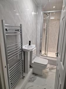 a bathroom with a toilet and a shower and a sink at Levy Nook 4 in Darlington
