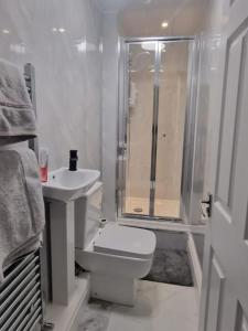 a bathroom with a toilet and a sink and a shower at Levy Nook 4 in Darlington
