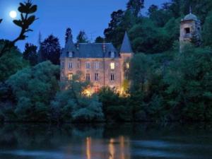 una casa grande en una colina junto a un cuerpo de agua en Royal Room - Love-room proche de Nancy, en Liverdun