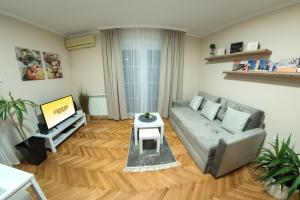 Apartman Centar في بوزاريفاتش: غرفة معيشة مع أريكة وتلفزيون
