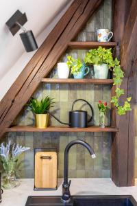 a kitchen with a sink and shelves with plants at Apartment with Entresol Old Town Krakow in Krakow