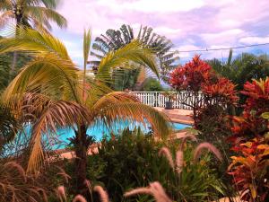 Piscina di Villa Diamant Bleu o nelle vicinanze
