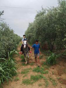 Khách lưu trú tại Thar Olive Cottages Pilani +45 ảnh