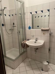 bagno con doccia e lavandino di Appartement Donauwelle 2 a Passavia