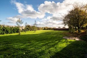 un gran campo de césped con un árbol en un campo en Dovedale Manor, en Tissington