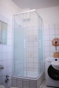 La salle de bains est pourvue d'une douche avec une porte en verre. dans l'établissement Modernes Apartment in der Altstadt , kostenlose Parkplätze in der Nähe, à Emden