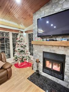 una sala de estar con un árbol de Navidad y una chimenea en La Perchée Du Lac Miller, en Racine