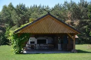 a pavilion with a table and chairs in a field at Zajazd Tusinek Grzegorz Winiarek in Rozogi