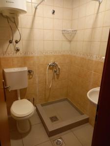 a bathroom with a shower with a toilet and a sink at Apartments Pure Magic in Utjeha