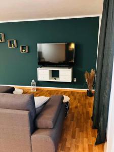 a living room with a couch and a flat screen tv at Ferienwohnung in Freiberg nahe Bahnhof in Freiberg