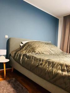 弗賴貝格的住宿－Ferienwohnung in Freiberg nahe Bahnhof，卧室内的一张床铺,卧室内有蓝色的墙壁