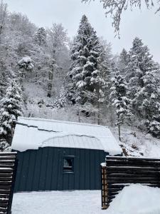 BagriWood Lodges (Лоджі БагріВуд) v zime