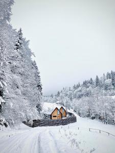 BagriWood Lodges (Лоджі БагріВуд) v zime