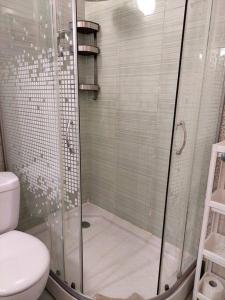 La salle de bains est pourvue d'une douche et de toilettes. dans l'établissement Doris' 1 Bedroom Apartment, à Sofia