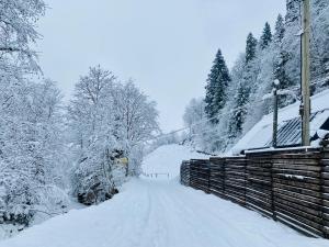 BagriWood Lodges (Лоджі БагріВуд) v zime