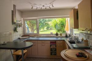 een keuken met een wastafel en een raam erin bij Nature Paradies am Seeberg in Heidenheim an der Brenz