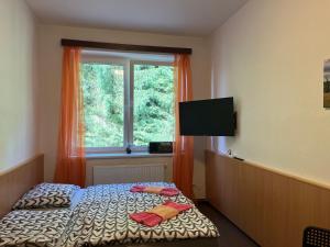 a bedroom with a bed in front of a window at Apartmán NOVOHRADKY 22 in Benešov nad Černou