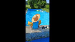 a person in a straw hat sitting next to a swimming pool at Nature Paradies am Seeberg in Heidenheim an der Brenz